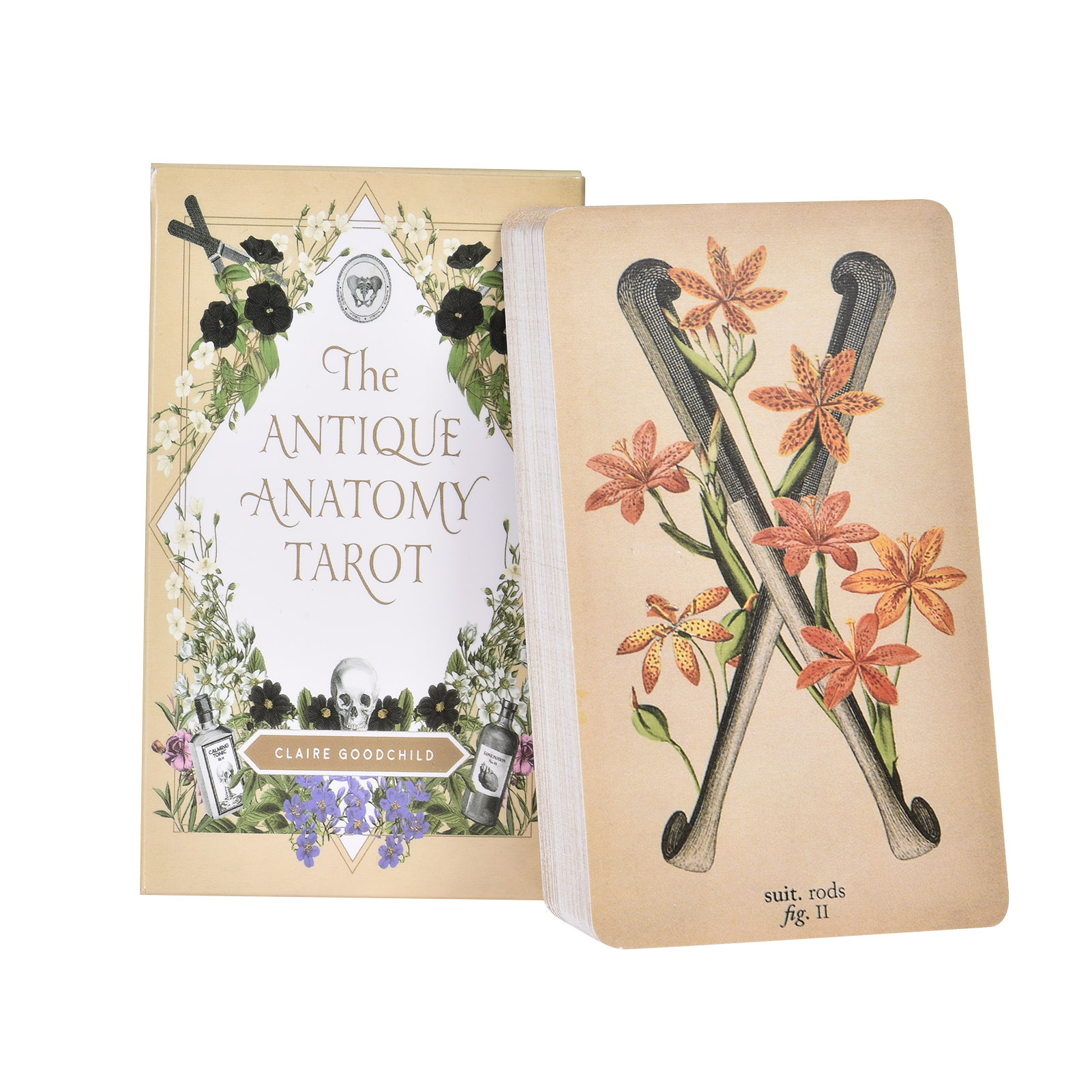 As Cartas de Tarot de Anatomia - Tarot Cards Deck With Guidebook avaliação e preço
